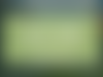 The European Taxonomy for a Circular Economy