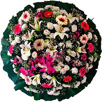 Coroa de Flores Magnífica DD