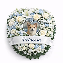 Design sem nome - 2026-02-23T172700.516.png