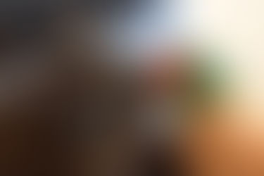 Due to Covid-19 we are currently closed