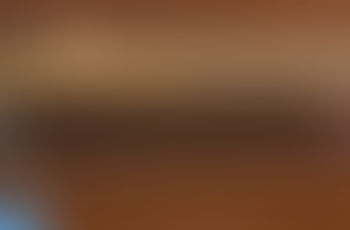 Browning T-Bolt Sporter AAA Maple Wood - Beautiful - 20" 22lr - Be sure to sign up for the mailer for all the specials and promo's