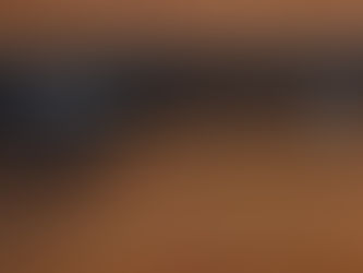 Ruger SFAR AR10 308 Win 20" MLOK - One of the BEST priced vs Quality 308 guns on the market - Be sure to sign up for the emailer to get all the specials and promo's