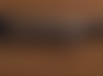 Pre-Owned Like New Browning BT99 12ga 32" w/ Original Box -