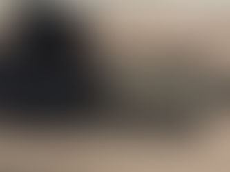 Package Gun - Delton Echo 316 556/223 16" w/ Sightmark Red Dot in FDE Furniture - Follow us on X @bears_gun_room - Sign up here for the emailer