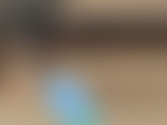 CZ 457 At One Varmint 22lr 16" Fully Adjustable Stock - Be sure to sign up for the mailer for all the specials and promo's