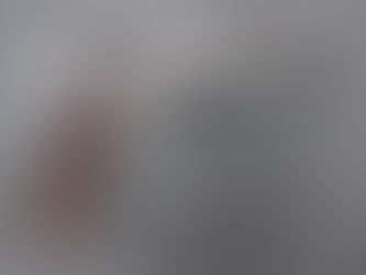 Pre-Owned Great Condition Rock Island M1911A1 45acp 4.5" ... $399 - Be sure to sign up for the emailer to get all the specials and promo's