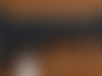 CZ Scorpion Evo Carbine 9mm 16" Folding Stock 2 Mags Sights and Faux Can - Follow us on X @bears_gun_room - Sign up here for the emaile