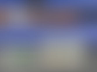 Pre-Owned Damn Near Mint Beretta 687 Silver Pigeon III 12ga Competition Receiver Engraved High Grade Walnut 30" Full Set of Extended Chokes ... $2199 - Be sure to sign up for the emailer to get all th