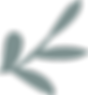 fleur.png