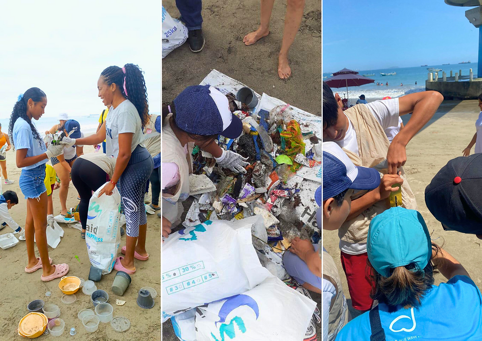 Beach Clean-Up with OFAA Member Organisation - Blue Wave, Ballenita, Mainland Ecuador