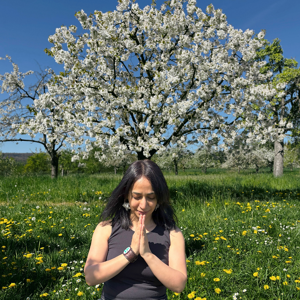 Marzieh Kirschbaum.png