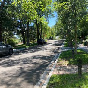 Sticking Up for Reno's Urban Forest