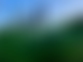 Pew Sheet: Week Commencing 2nd November