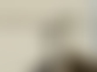 Pew Sheet - 26th April