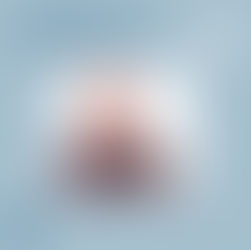 Neu im Netzwerk: Holzbau Merz GmbH