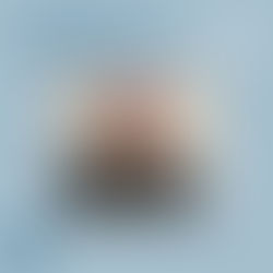 Willkommen knollbauen!