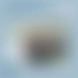 Neupartner: Holzbau Lepski GmbH