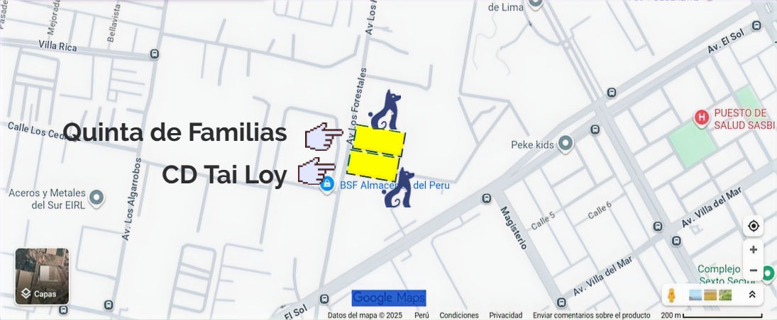 maps tai loy v_edited.jpg