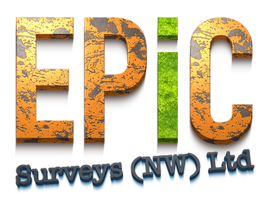 EPiC Logo (Transparant).png