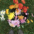 Fresh from the garden: Vesuvio, Heather James, River CIty, Seaton's Ruby and Kokka No Waza