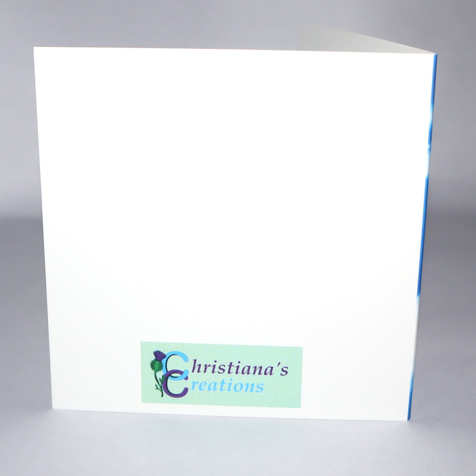 Thumbnail: Parrot  Blank Card