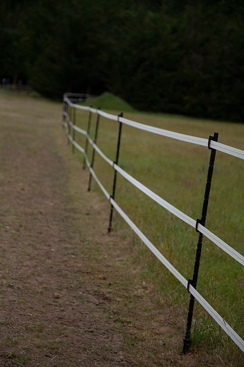 Gallaghers Line Posts