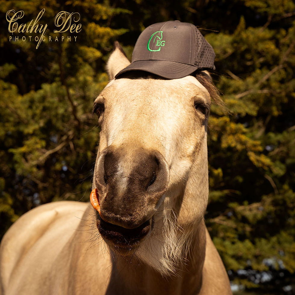 Thumbnail: Cust Equestrian Group Baseball Cap