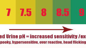 When Horses Become Grass Affected