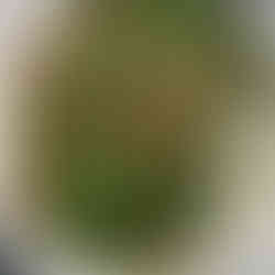 Garlicky Bacon Green Beans