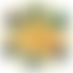 Natural Ways to Protect Your Skin & My Favorite Safe Sunscreens