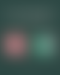 The Gut-Immune Connection You Can’t Afford to Ignore