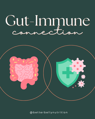 The Gut-Immune Connection You Can’t Afford to Ignore