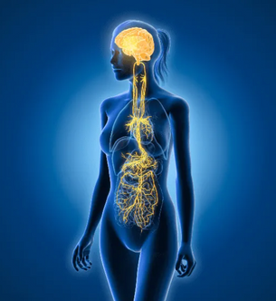 10 Ways to Improve Your Vagal Tone for Better Health and Digestion