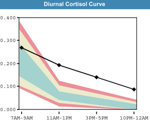 Unlocking the Hormonal Symphony: How Your Cortisol Curve, DHEA Levels, and Sex Hormones Work Together