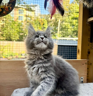 WhatsApp Image 2025-09-15 at 12.54.51_dda53690.jpg