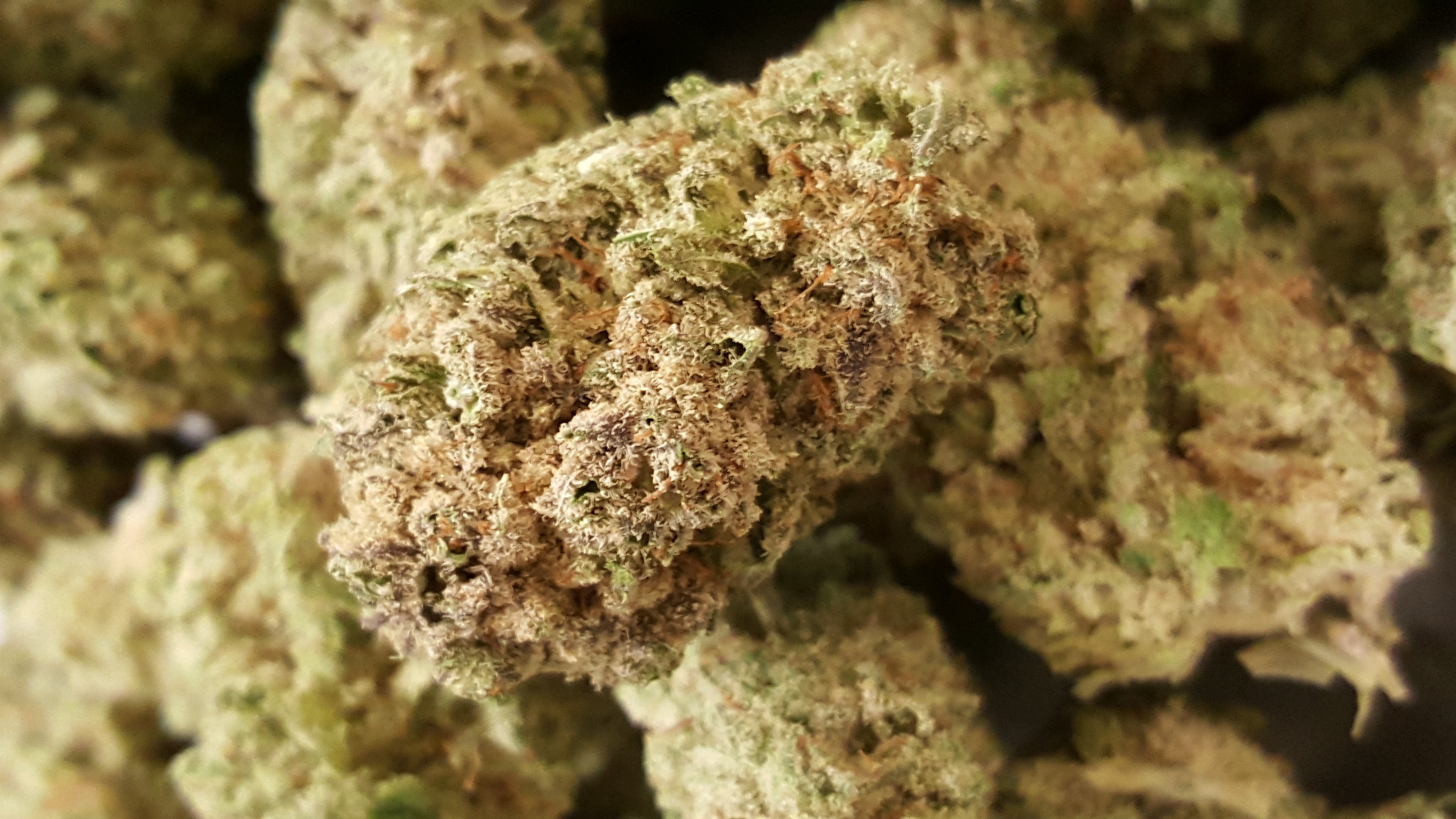 Nugget Up Close