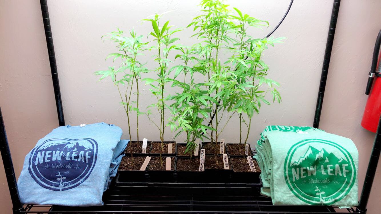 clones & shirts