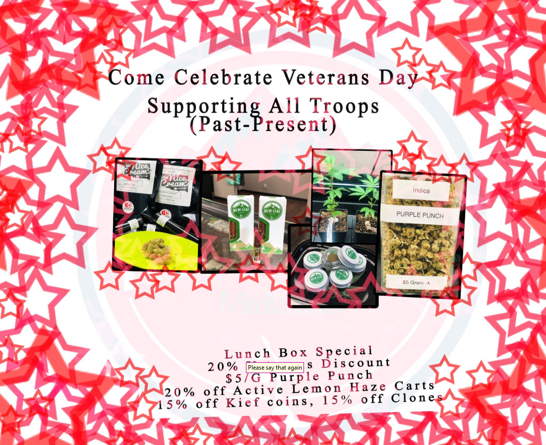 Veterans Day