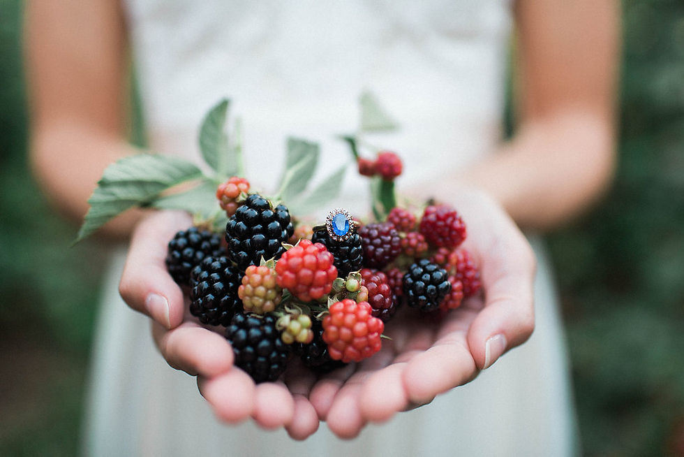 Weddings, Parties, reunions and more