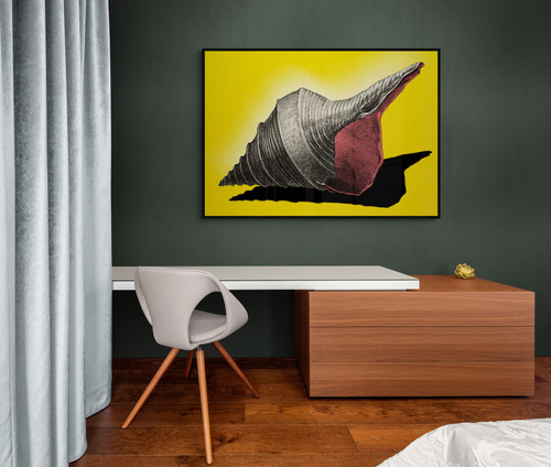 Bold Shell: Art Print | Framed, Unframed or Mounted | 'Alkemest