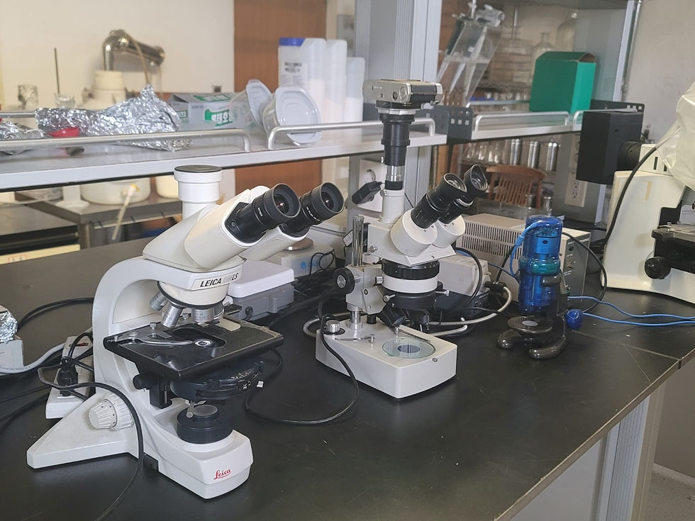 KakaoTalk_20241007_095322802_06