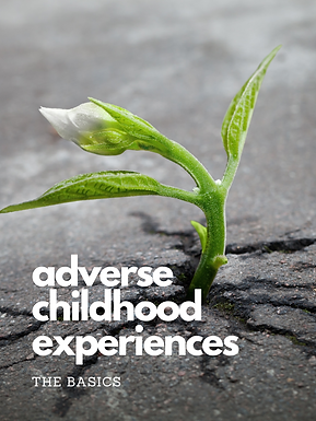 ACES 101 Canvas Instructure front page.p