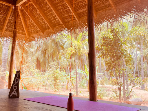 Yoga AUG2022.jpeg