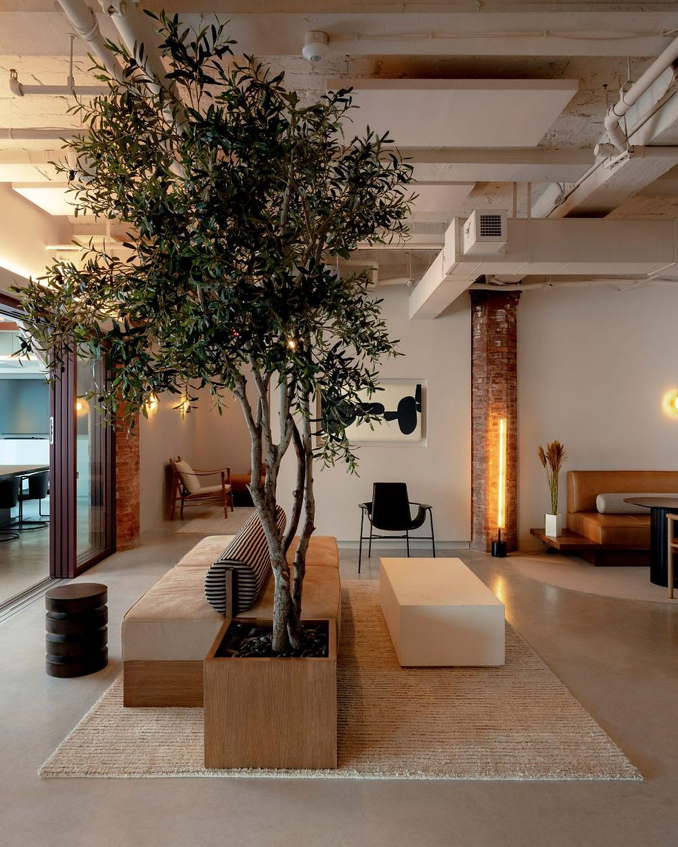Biophilic living room with neutral colors