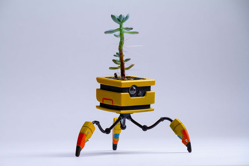 Thumbnail: R0B0T - Plant Vase