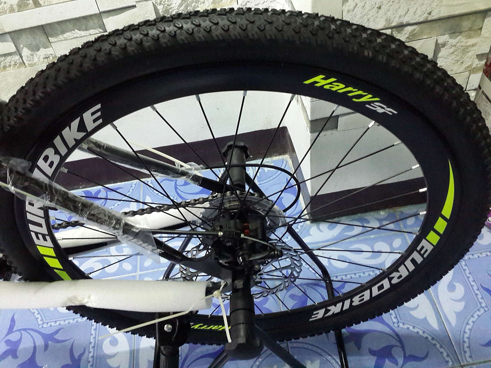 Thumbnail: Eurobike XI (Free shipping)