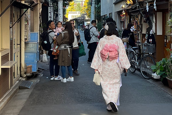 kimono_horizont.jpg