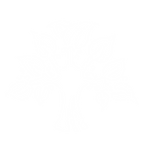Fruition Logo