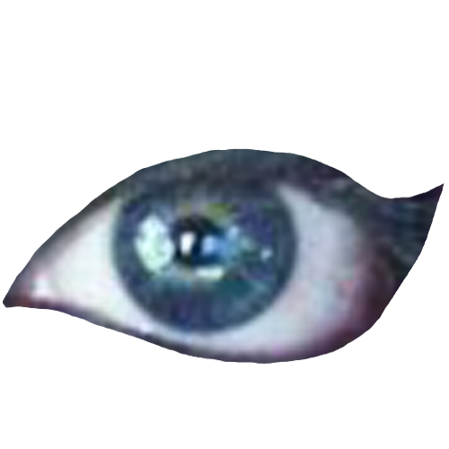 eye12