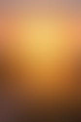 A Year of Sundays: 52/2025